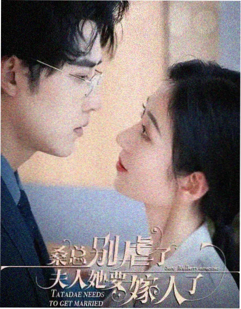 短剧改编小说《闪婚后老板天天想公开》封面